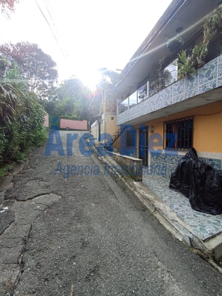 Apartaestudio en Arriendo en Aguacatala Parte Baja